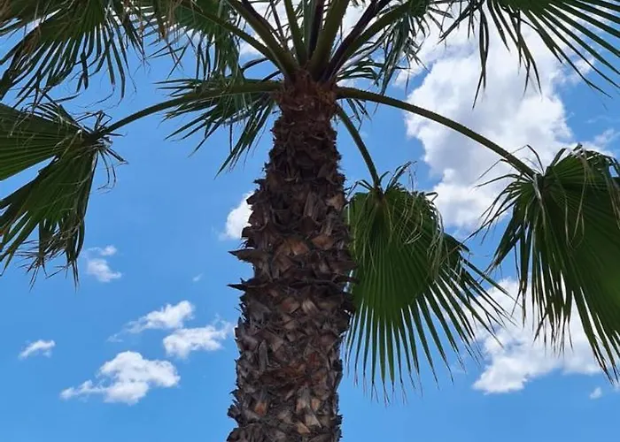 Premium 8 Pers With A Rooftop Swimming Pool And Sea Views - 3 Min Playa De Cura Appartement Torrevieja