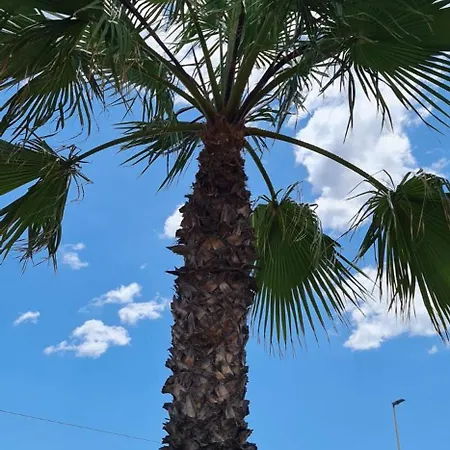 Premium 8 Pers With A Rooftop Swimming Pool And Sea Views - 3 Min Playa De Cura Apartmán Torrevieja